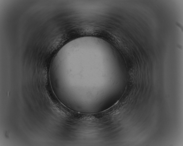 X0000092310642200710051239