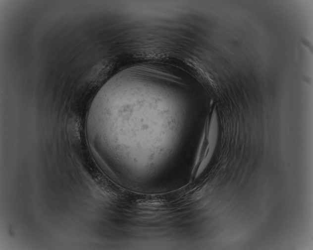 X0000092310643200710051239