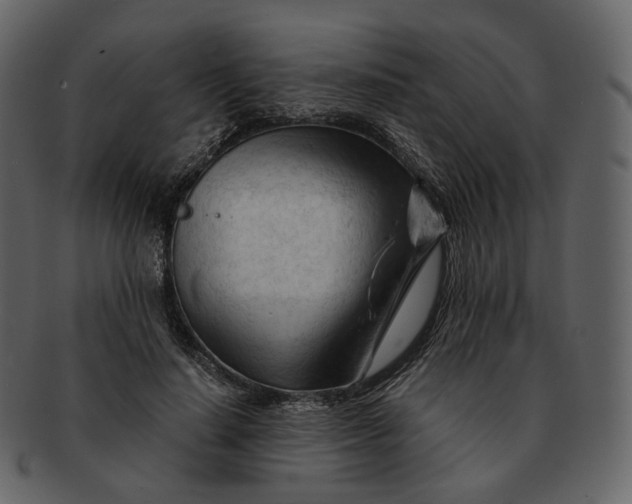 X0000092310644200710051239