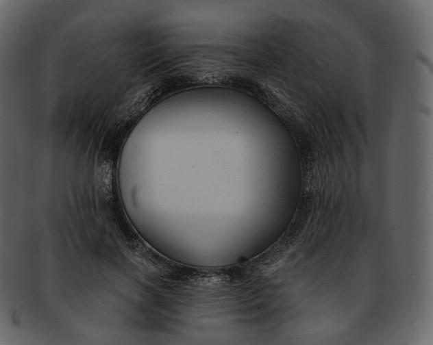 X0000092310646200710051239