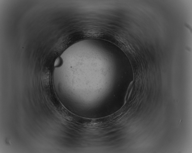 X0000092310647200710051239