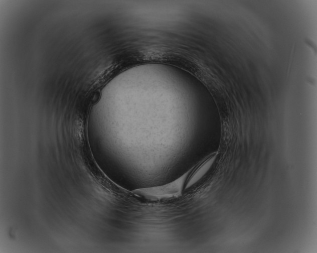 X0000092310648200710051239