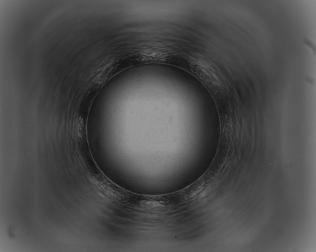 X0000092310649200710051239
