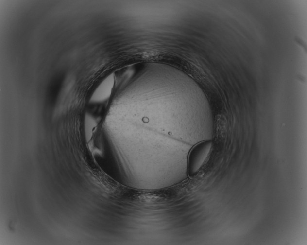 X0000092310650200710051239