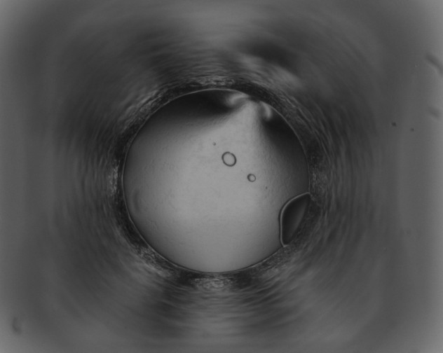 X0000092310652200710051239