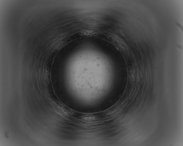 X0000092310653200710051239