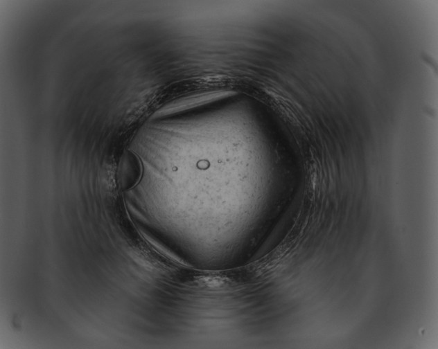 X0000092310654200710051239