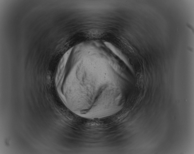 X0000092310655200710051239