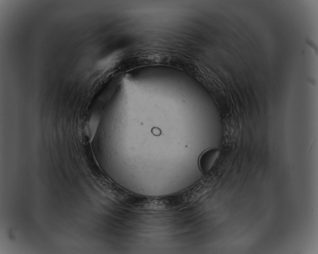 X0000092310656200710051239