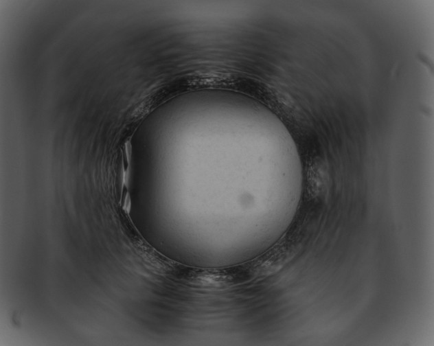 X0000092310657200710051239