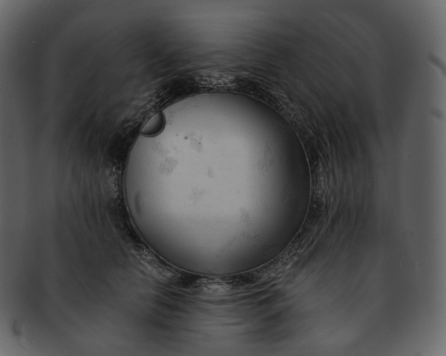 X0000092310658200710051239