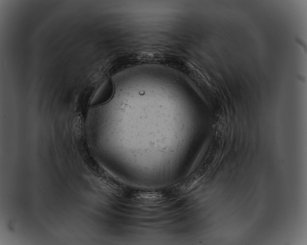 X0000092310659200710051239