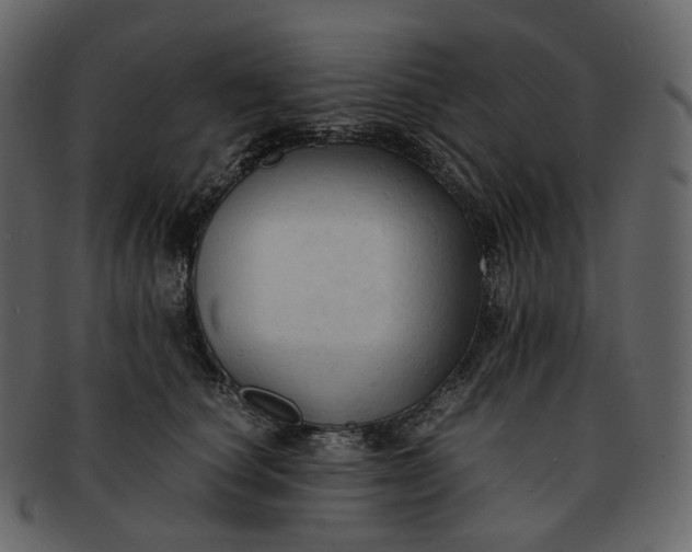 X0000092310660200710051239
