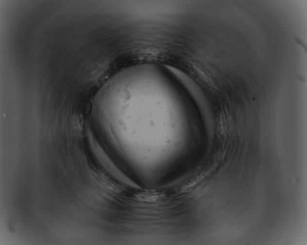 X0000092310661200710051239