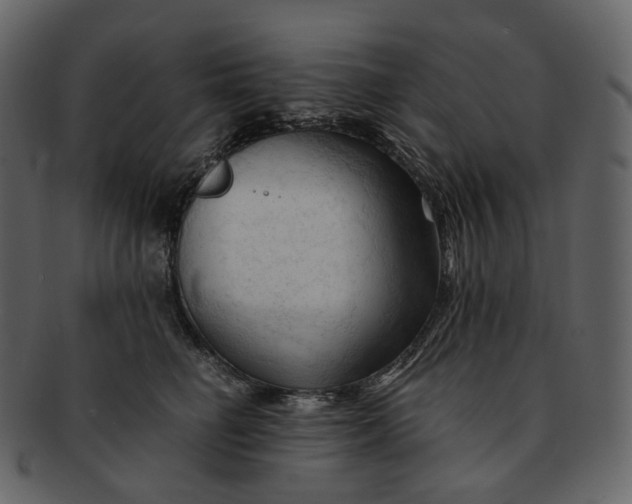 X0000092310662200710051239
