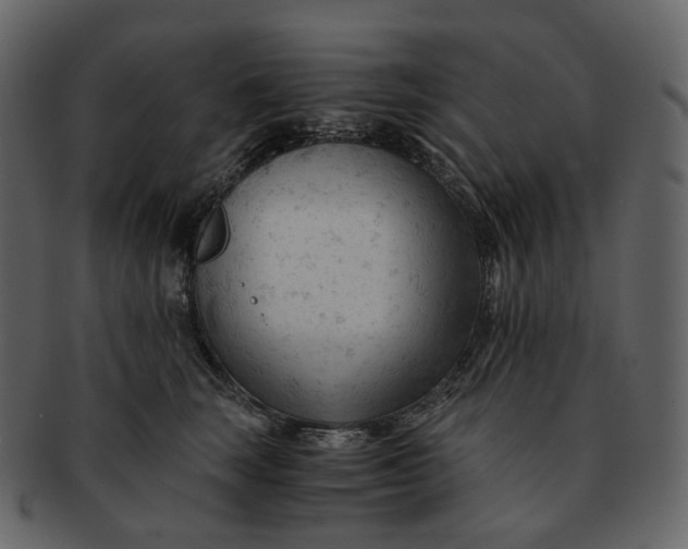 X0000092310663200710051239