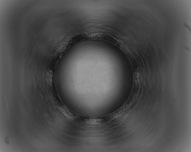 X0000092310664200710051239