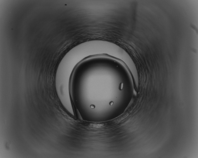 X0000092310665200710051239
