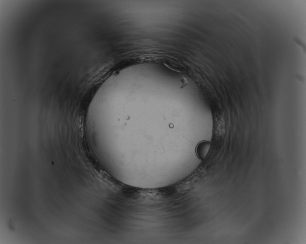 X0000092310666200710051239