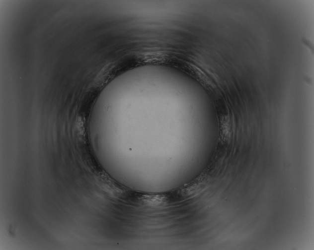 X0000092310667200710051239