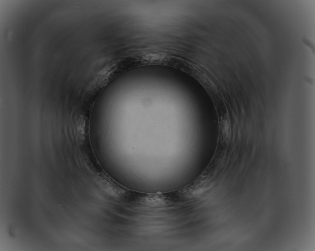 X0000092310668200710051239