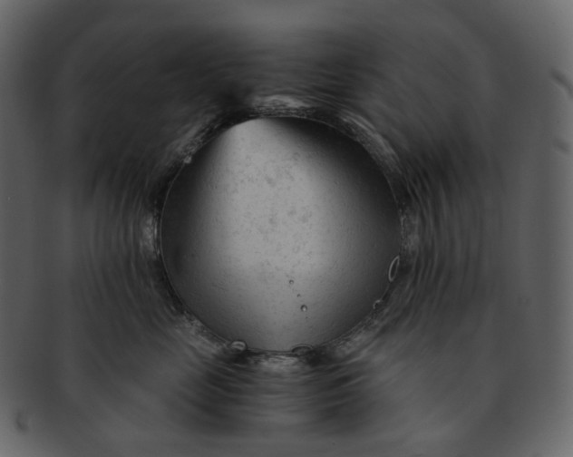 X0000092310669200710051239