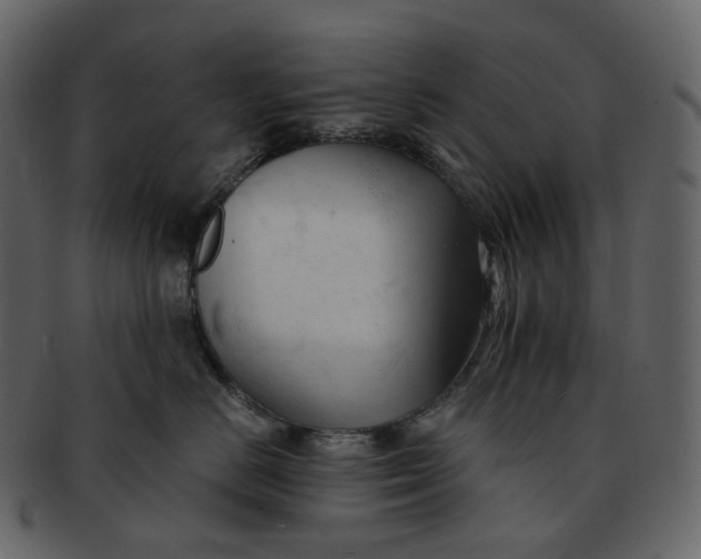 X0000092310670200710051239