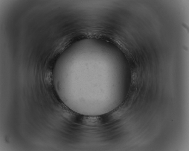 X0000092310671200710051239