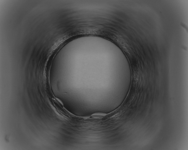 X0000092310674200710051239