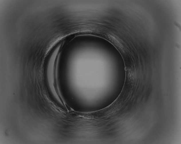 X0000092310676200710051239