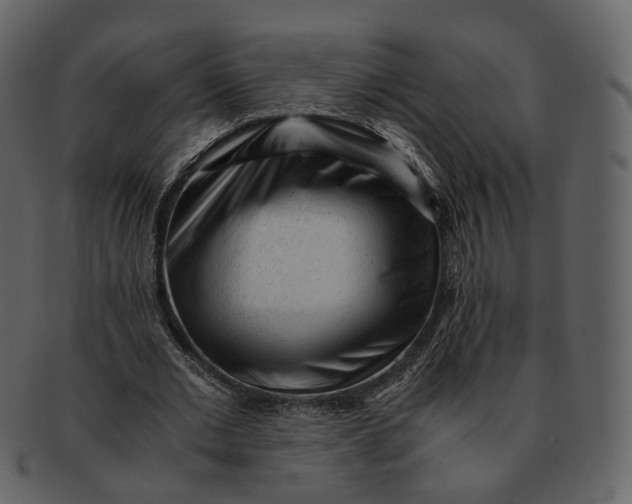 X0000092310677200710051239