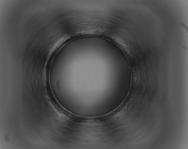 X0000092310678200710051239