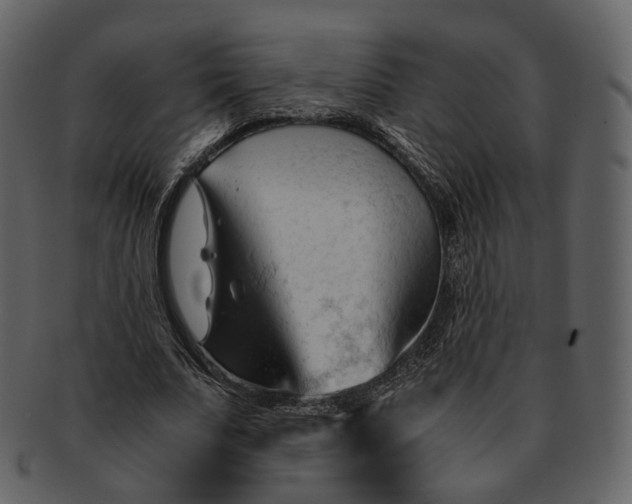 X0000092310679200710051239