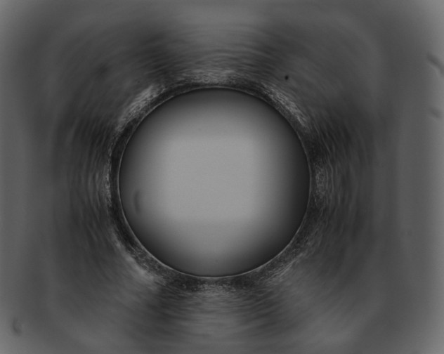 X0000092310682200710051239