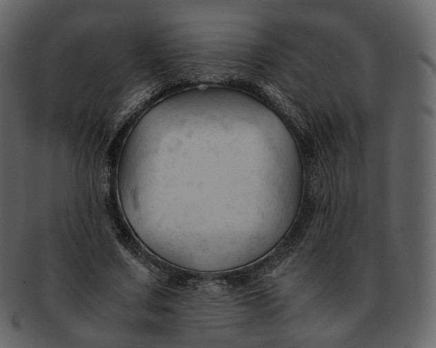 X0000092310683200710051239