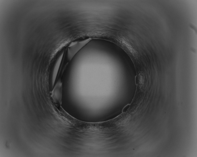 X0000092310684200710051239