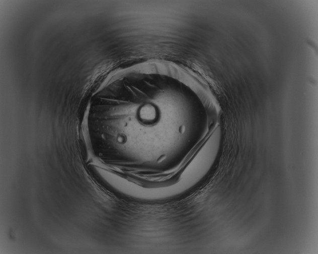 X0000092310685200710051239