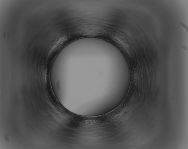 X0000092310686200710051239