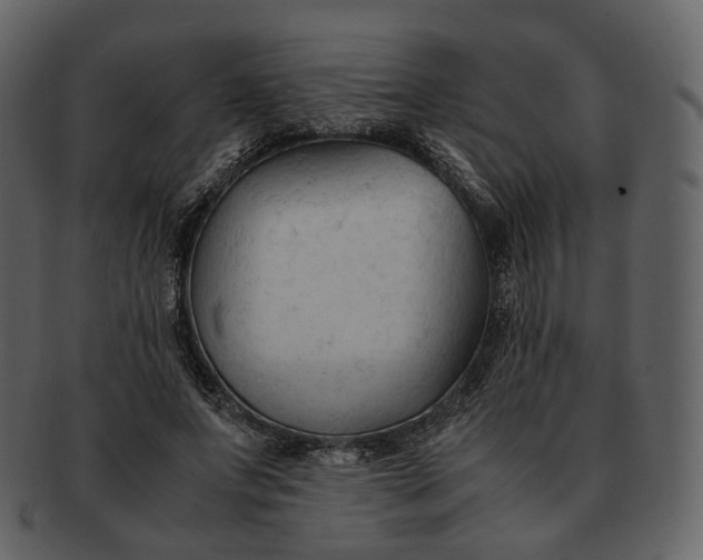 X0000092310687200710051239