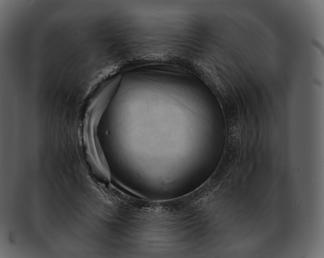 X0000092310688200710051239