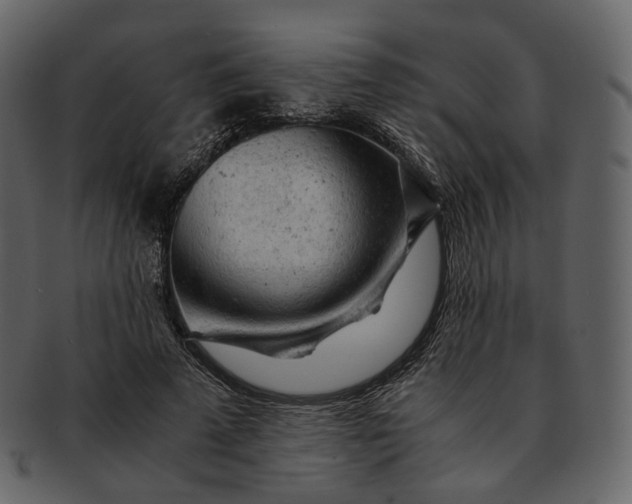 X0000092310689200710051239