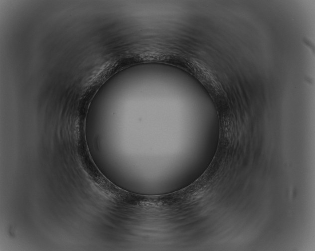 X0000092310690200710051239