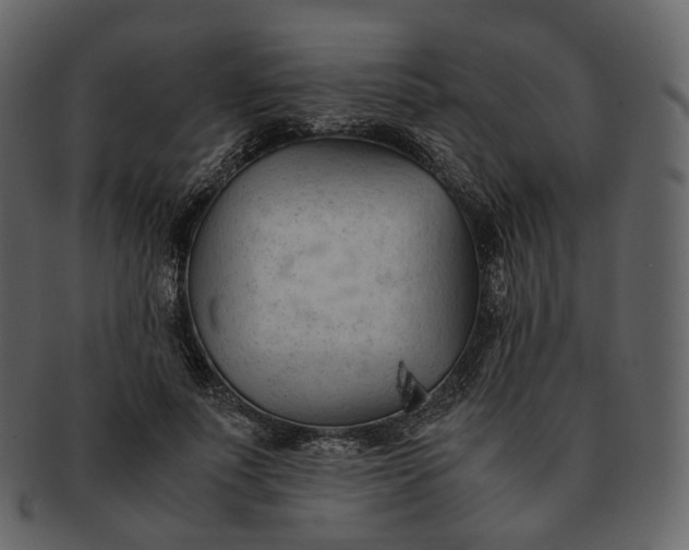 X0000092310691200710051239