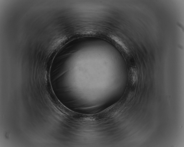 X0000092310692200710051239