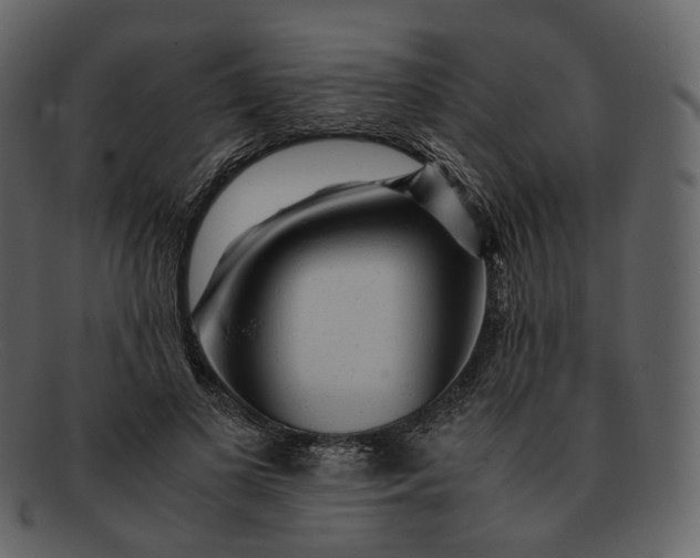 X0000092310693200710051239