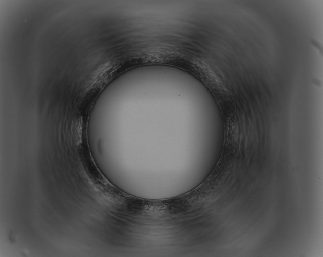 X0000092310694200710051239