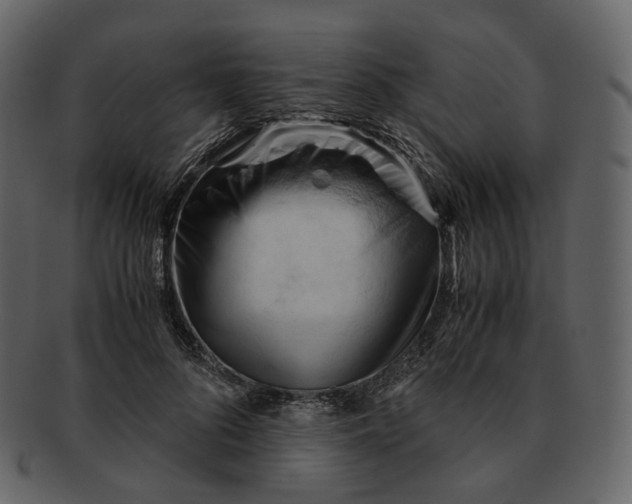 X0000092310696200710051239