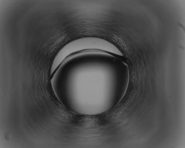 X0000092310697200710051238