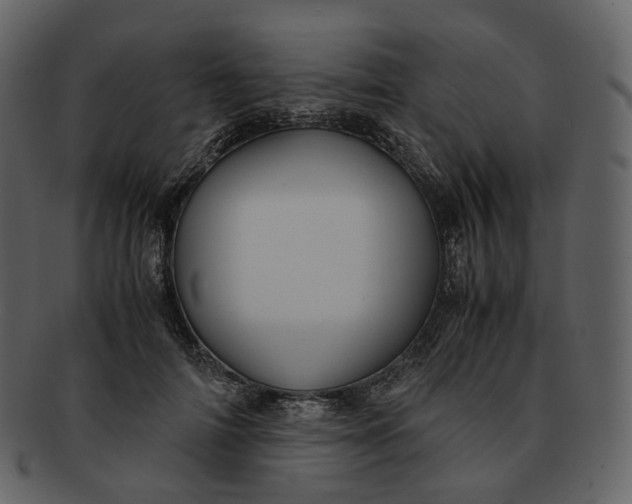 X0000092310698200710051238
