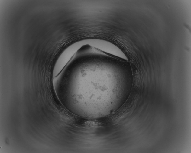 X0000092310699200710051238